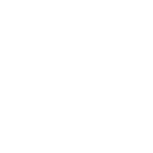 Worch Financial Group